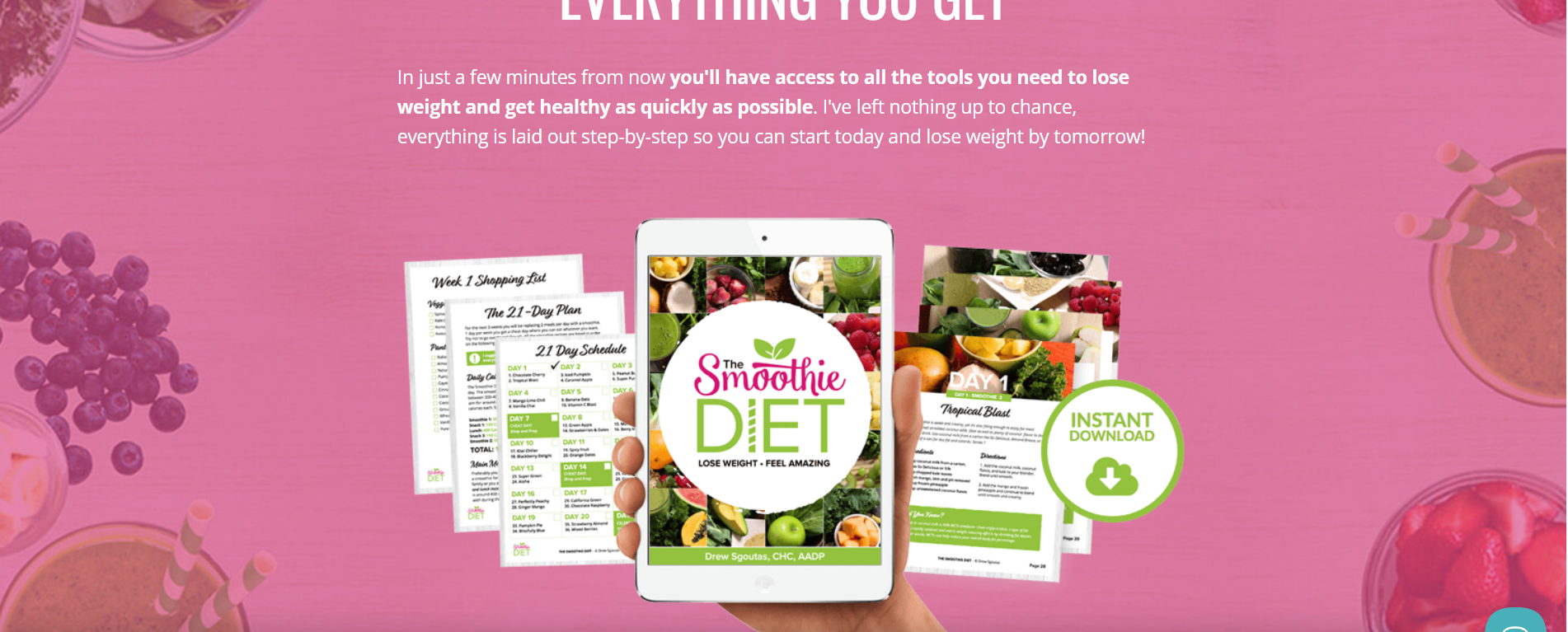 The Smoothie Diet review